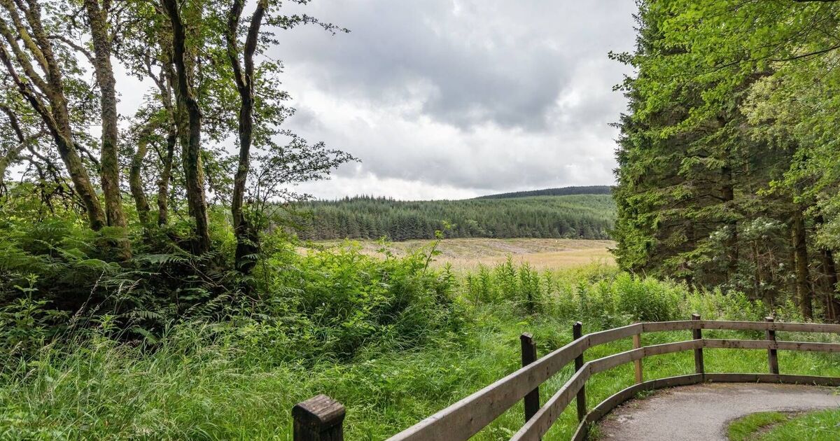 &#039;UK&#039;s most beautiful walking spot&#039; has enchanting views and stunning waterfalls