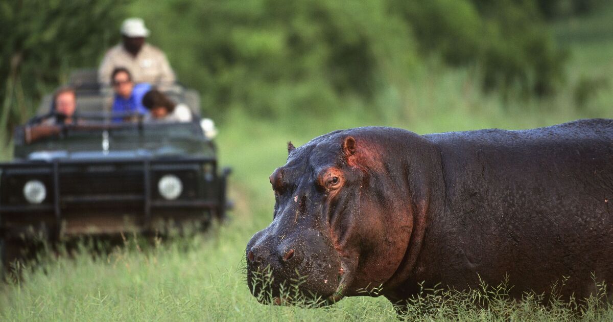 The underrated African country with super cheap safaris begging for more tourists