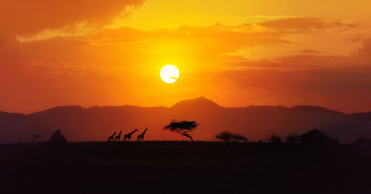 The beautiful African country home to the world&#039;s &#039;best&#039; sunset with giraffes and buffalos