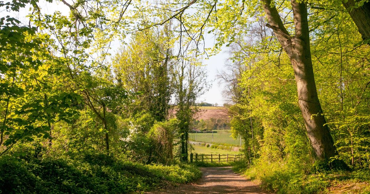 Quaint countryside village 40 minutes from London costs just £5 to get there